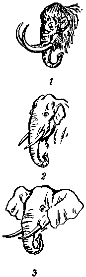 Дарвинизм в XX веке i_004.png