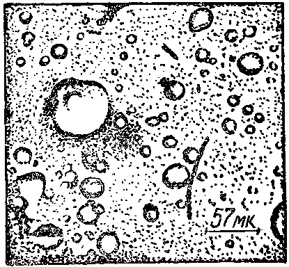 Дарвинизм в XX веке i_029.png