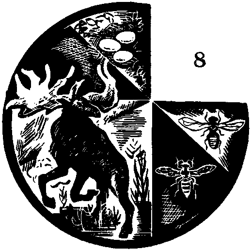 Дарвинизм в XX веке i_031.png