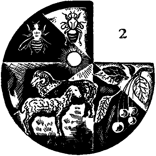 Дарвинизм в XX веке i_005.png