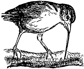 Дарвинизм в XX веке i_047.png