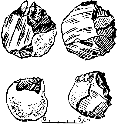 Дарвинизм в XX веке i_048.png