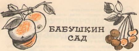Кто твоя бабушка? i_010.jpg