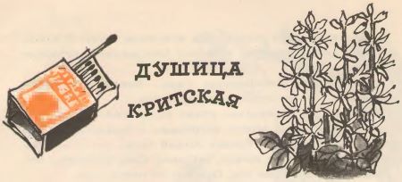 Кто твоя бабушка? i_024.jpg