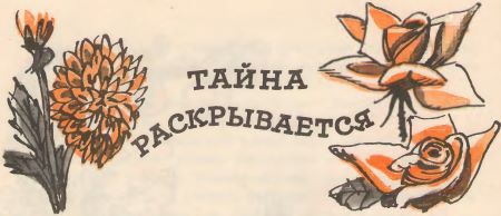 Кто твоя бабушка? i_027.jpg