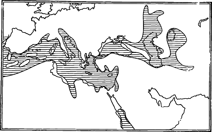 История средиземных морей i_006.png