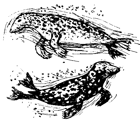 Каос и Бьёрнар (с илл.) i_029.png