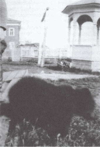 Полковник Ф.Дж. Вудс и британская интервенция на севере России в 1918-1919 гг.: история и мемуары i_008.jpg
