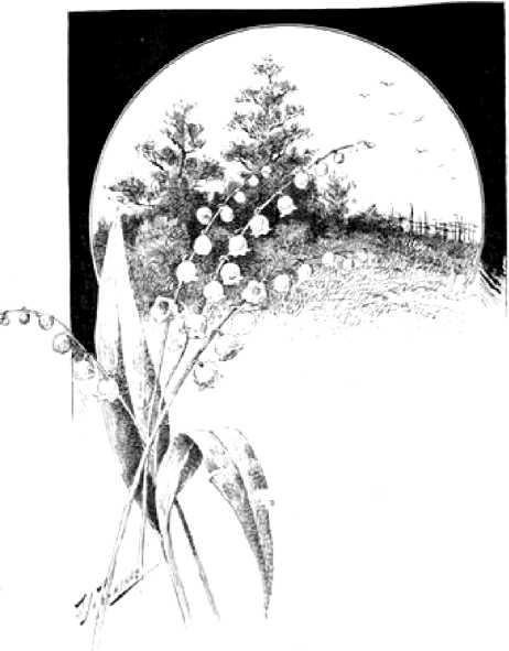 Битва чудовищ. Приключения в микромире. Том 1 i_013.png