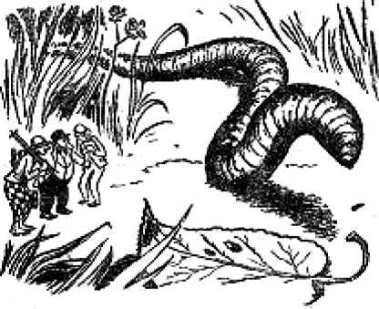 Битва чудовищ. Приключения в микромире. Том 1  i_007.png
