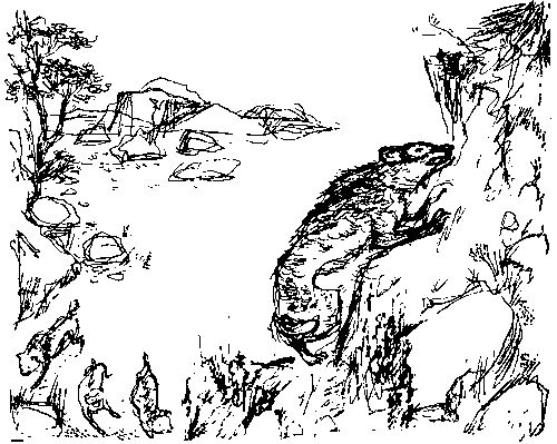 Земля мамонтов (с илл.) _351.png