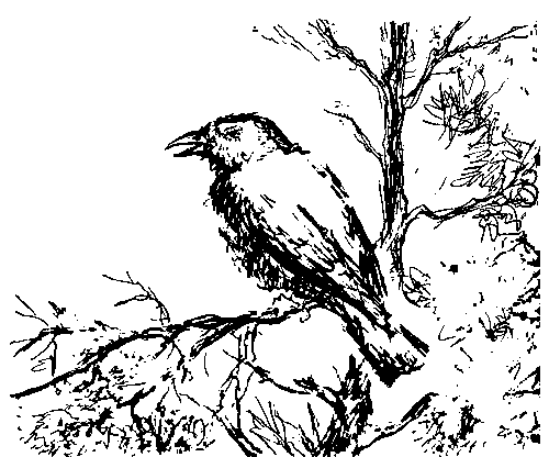 Земля мамонтов (с илл.) _471.png