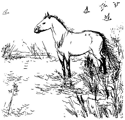 Земля мамонтов (с илл.) _102.png