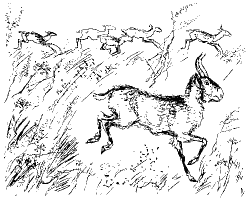 Каменный исполин _102.png