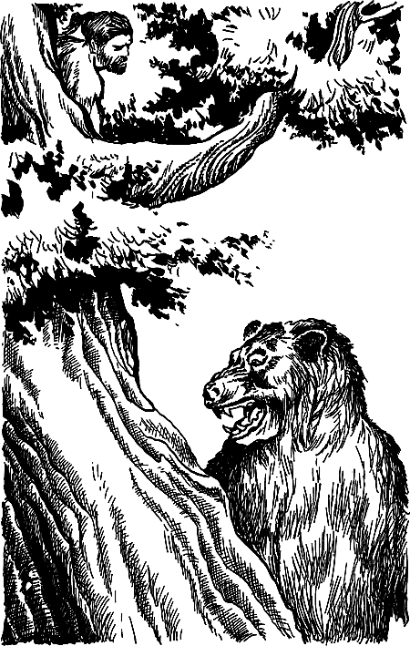 Бронзовый топор i_088.png