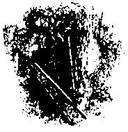 Мифы и легенды народов мира. Том 6. Северная и Западная Европа i_021.png
