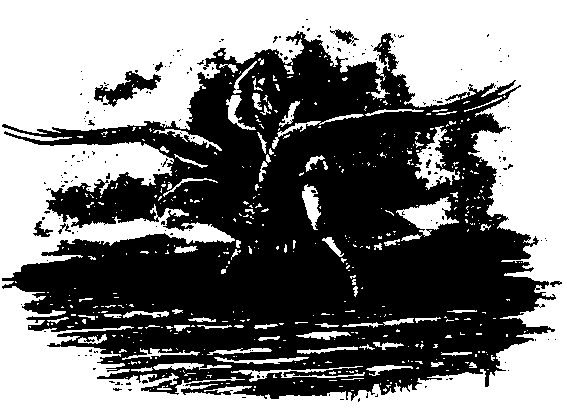 Мифы и легенды народов мира. Том 6. Северная и Западная Европа i_007.png