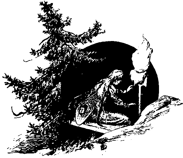 Мифы и легенды народов мира. Том 6. Северная и Западная Европа i_043.png