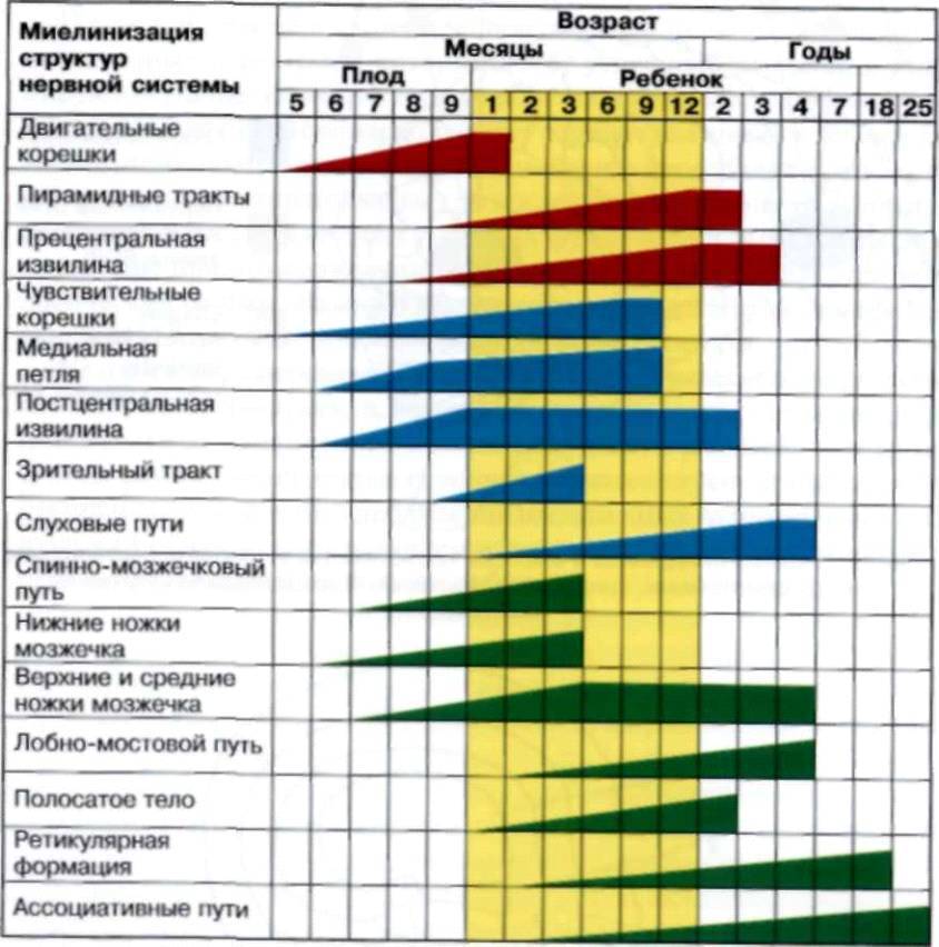 Нейропсихология детского возраста _0.jpg