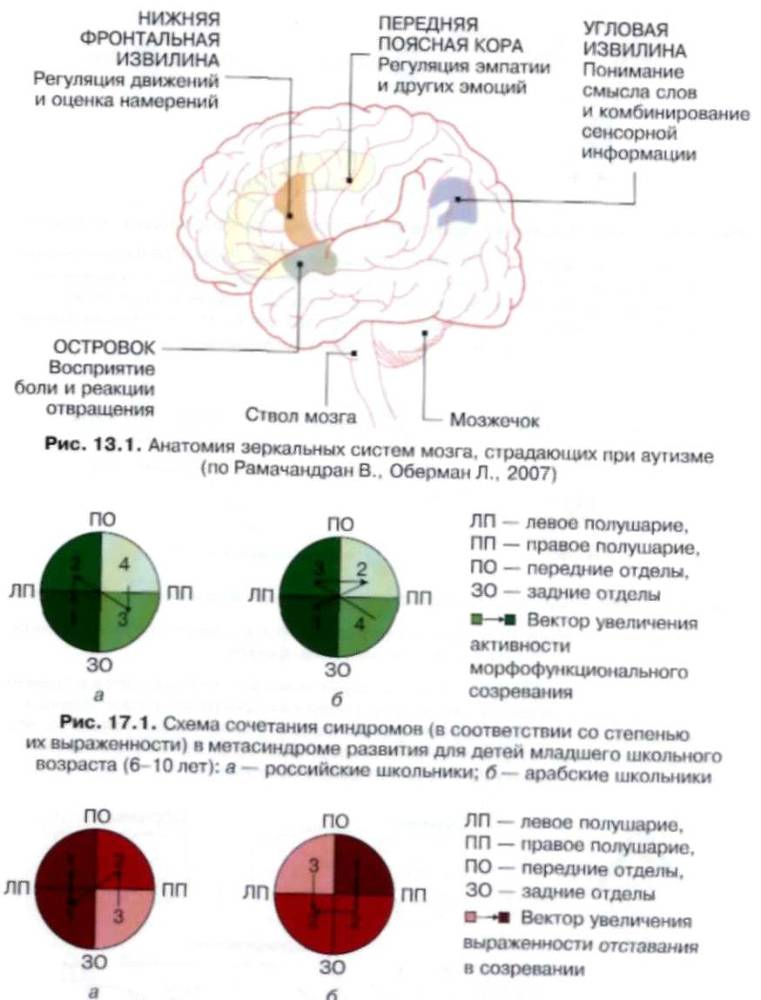 Нейропсихология детского возраста _3.jpg