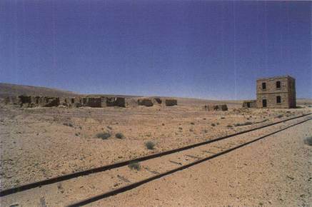 Lawrence: The Uncrowned King of Arabia _11.jpg