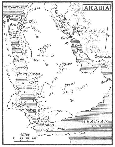 Hero: The Life and Legend of Lawrence of Arabia  _2.jpg