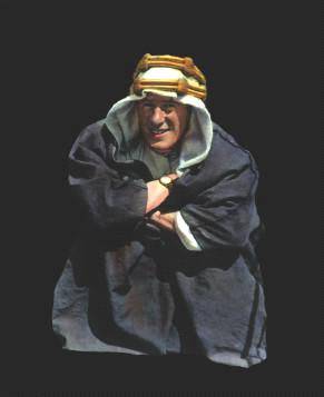 Hero: The Life and Legend of Lawrence of Arabia  _21.jpg