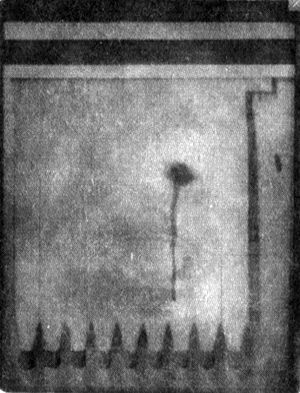 Флешка-2GB _40.jpg