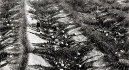Лик пустыни doc2fb_image_02000020.jpg