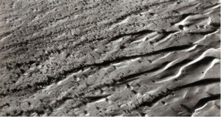 Лик пустыни doc2fb_image_0200002D.jpg