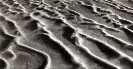 Лик пустыни doc2fb_image_0200002E.jpg