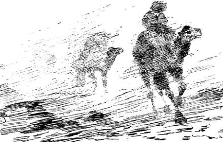 Лик пустыни doc2fb_image_02000006.jpg
