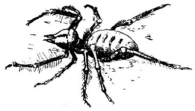 Лик пустыни doc2fb_image_02000007.jpg