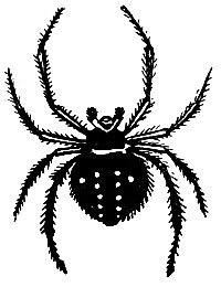 Лик пустыни doc2fb_image_02000009.jpg