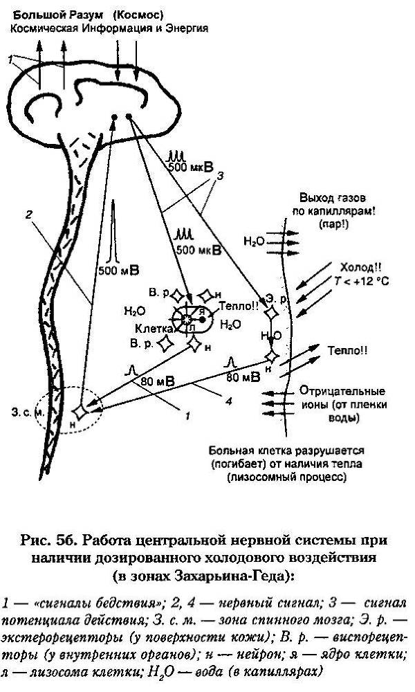 Новое - небывалое. Научность идей Порфирия Иванова _10.jpg