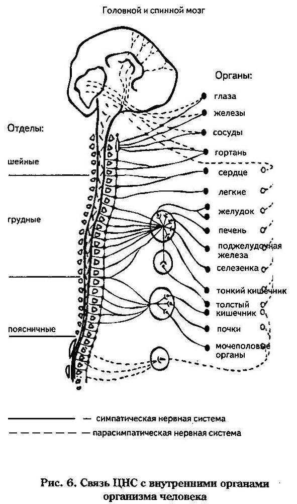 Новое - небывалое. Научность идей Порфирия Иванова _11.jpg