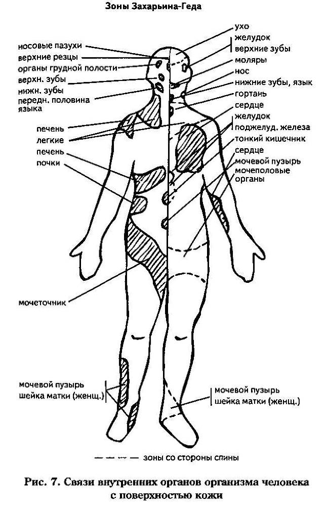 Новое - небывалое. Научность идей Порфирия Иванова _12.jpg