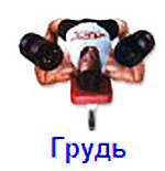 Силовой тренинг Мах-ОТ. Полный образовательный курс _162.jpg