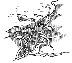 Таємничий острів i_119.png