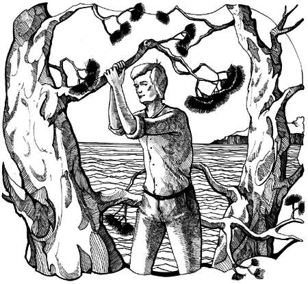 Таємничий острів i_047.png