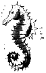 Правдивая история про девочку Эмили и таинственный замок img14.png