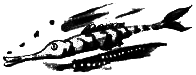 Правдивая история про девочку Эмили и таинственный замок img10.png