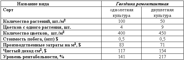 Бизнес-план по выращиванию ремонтантной гвоздики _27.jpg