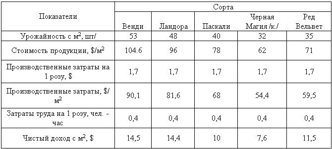 Бизнес-план по выращиванию чайно-гибридной розы _23.jpg