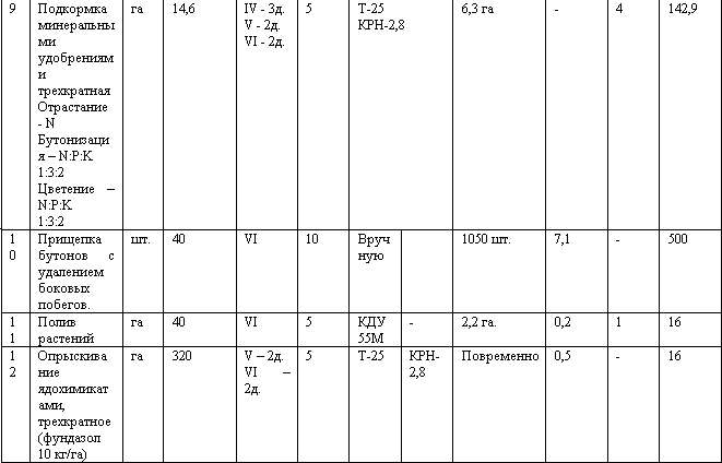 Бизнес-план по выращиванию хризантемы _23.jpg