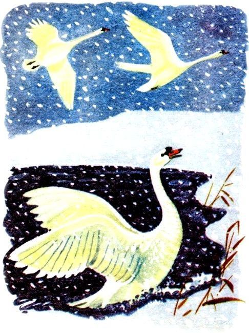 Лесная речка (с илл.) pic_14.jpg