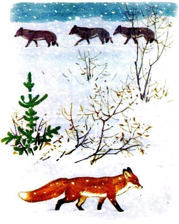 Лесная речка (с илл.) pic_3.jpg