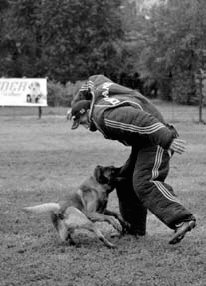 Атакующие собаки. Мифы и реальность современной дрессировки i_031.jpg
