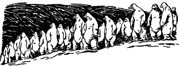 Звездоплаватели, Книга 2 (Сестра Земли) im041.jpg