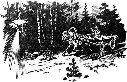 За волшебным цветком pic_17.jpg